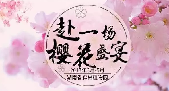 2017长沙樱花节时间、地点、门票